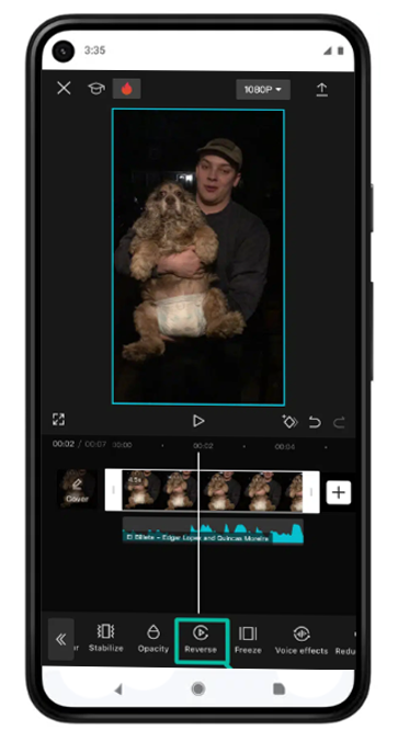 Video-Reverse-Multi-Layer-Editing