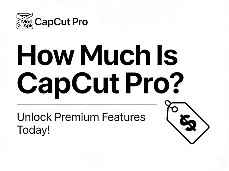 How Much Is CapCut Pro