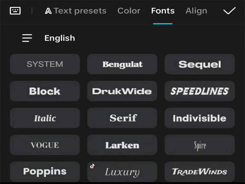 How to Redo in CapCut?