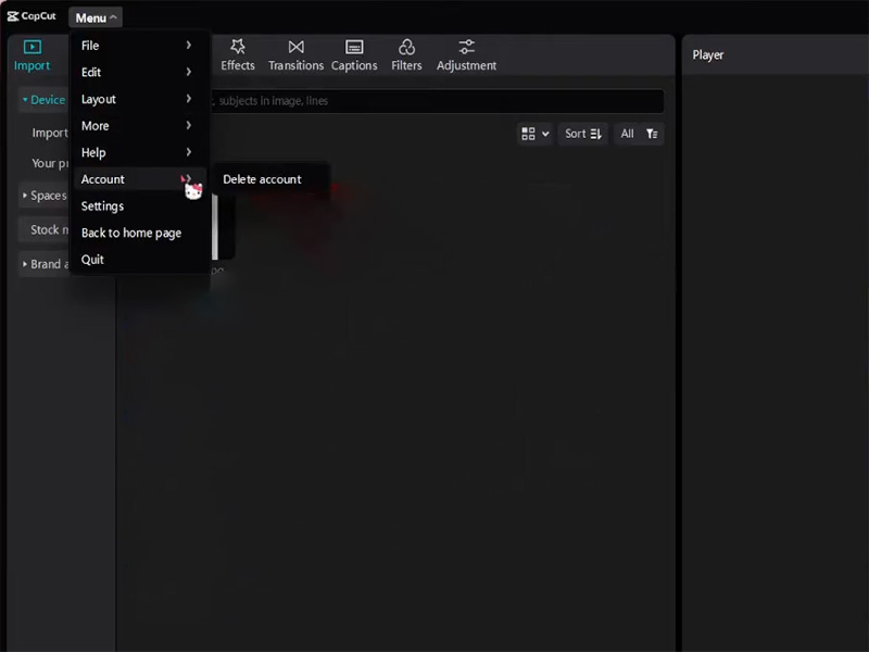How to Delete CapCut Account?