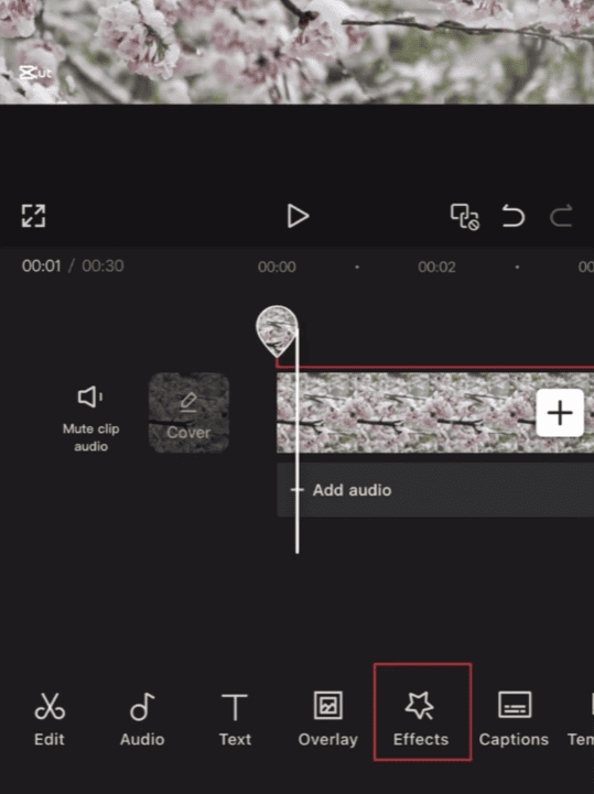 How to Make Your Videos Clearer in CapCut?